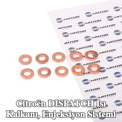 DR.MOTOR AUTOMOTIVE Isı Kalkanı, enjeksiyon sistemi — Citroën Dispatch