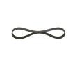 BOSCH Serpantin kayışı 780mm, Number of ribs: 6 — Nissan Largo (3)