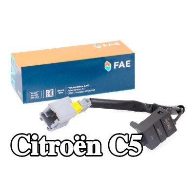 FAE مفتاح القابض للتحكم في السرعة — 2005 Citroën C5