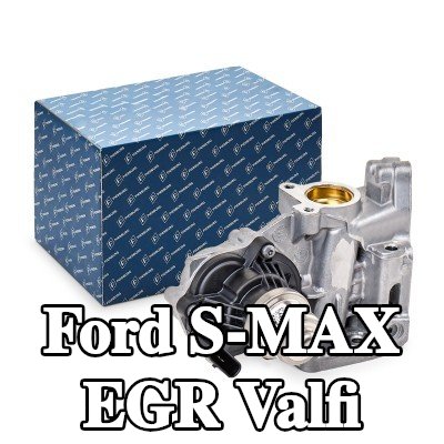 PIERBURG Contalı/sızdırmazlık elemanlı EGR valfi — Ford S-max