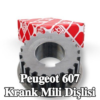 FEBI BILSTEIN Krank mili dişlisi — Peugeot 607