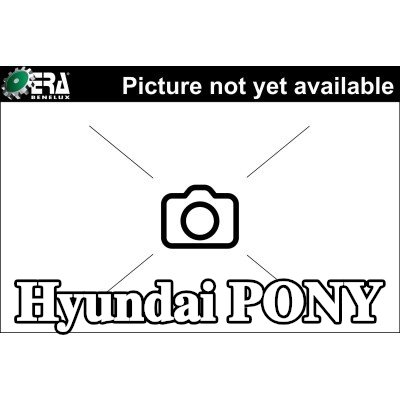 ERA Benelux مضخة نظام التوجيه المعزز — Hyundai Pony