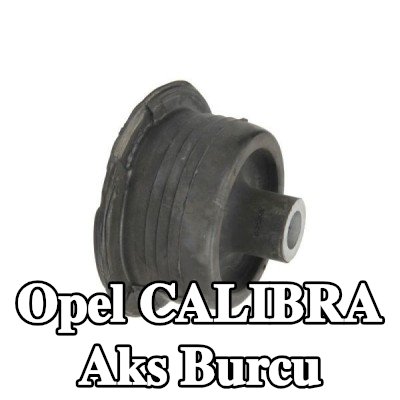 REINHOCH Arka aks burcu, Arka Aks — Opel Calibra