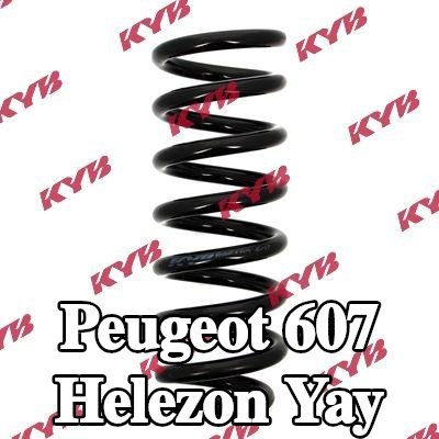 KYB Sarmal yay K-Flex, Süspansiyon Montaj Kiti, Arka Aks — Peugeot 607