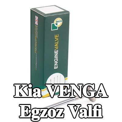 BGA Egzoz valfi — Kia Venga