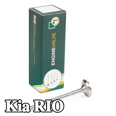 BGA صمام العادم — 2012 Kia Rio