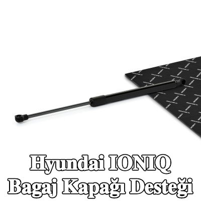 RIDEX Bagaj kapağı desteği 410, 5mm — 2016 Hyundai Ioniq