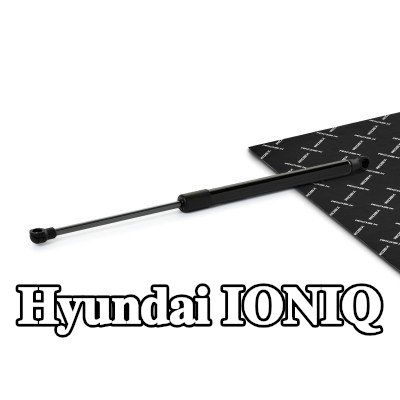 RIDEX دعامة الباب الخلفي 410, 5mm — 2016 Hyundai Ioniq