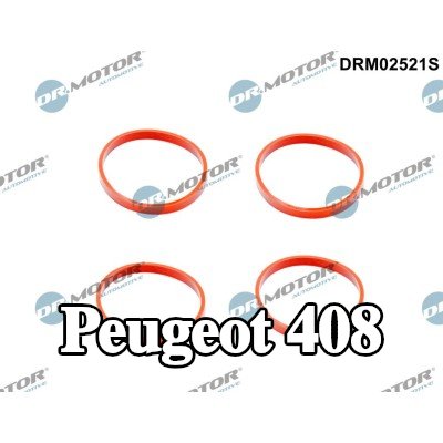 DR.MOTOR AUTOMOTIVE مجموعة حشيات، مشعب السحب — 2010 Peugeot 408