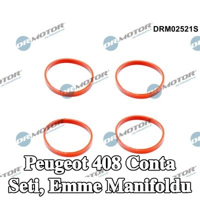 DR.MOTOR AUTOMOTIVE Conta Seti, emme manifoldu — 2010 Peugeot 408