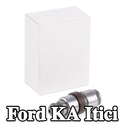 INA Itici — Ford Ka