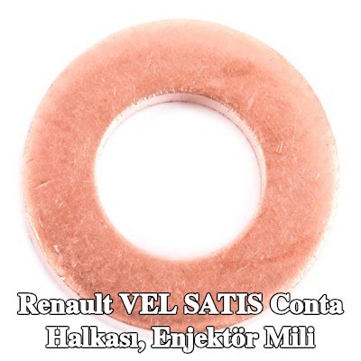DELPHI Conta halkası, enjektör mili — Renault Vel Satis