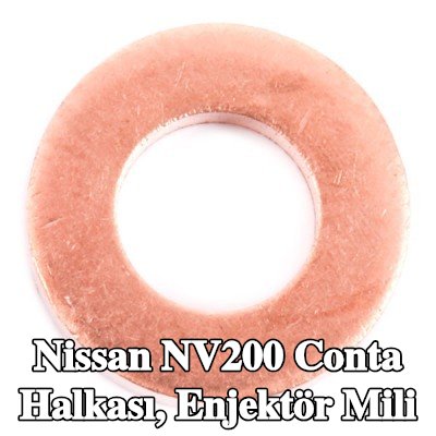 DELPHI Conta halkası, enjektör mili — Nissan Nv200