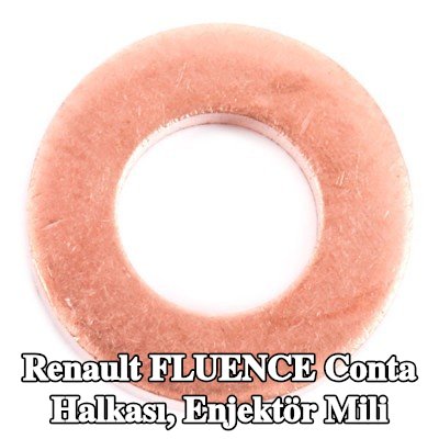 DELPHI Conta halkası, enjektör mili — Renault Fluence