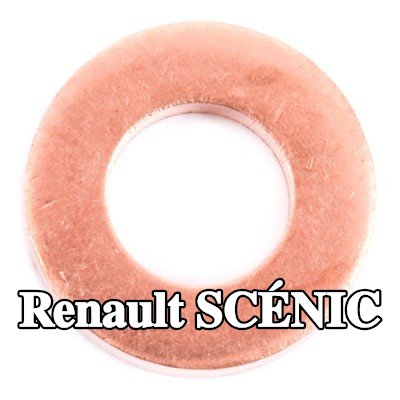 DELPHI حلقة مانعة للتسرب، عمود الحاقن — 2012 Renault Scénic