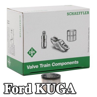 INA صمام — 2012 Ford Kuga
