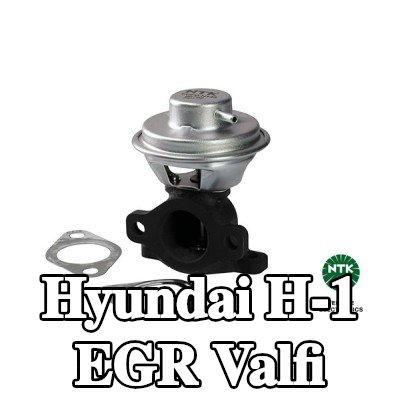 NGK Contalı/sızdırmazlık elemanlı EGR valfi — Hyundai H-1