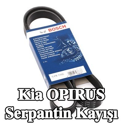 BOSCH Serpantin kayışı 1195mm, Number of ribs: 6 — 2003 Kia Opirus