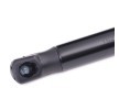 RIDEX دعامة الباب الخلفي الخلفية, كلا الجانبين, 279mm — Volkswagen Bora (3)