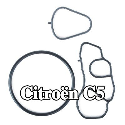ELRING حشية مبرد الزيت — 2012 Citroën C5