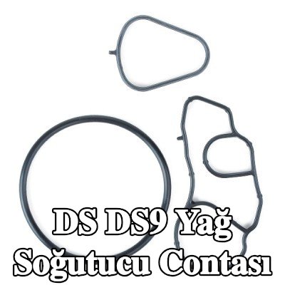 ELRING Yağ soğutucu contası — DS Ds9