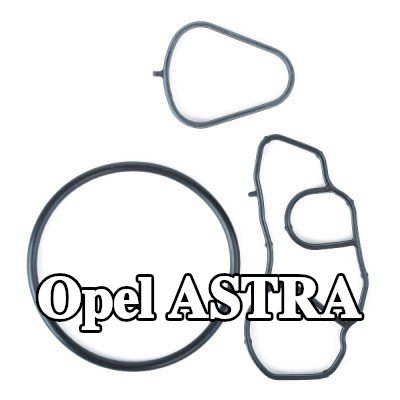 ELRING حشية مبرد الزيت — Opel Astra