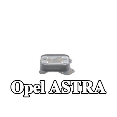 MAHLE مبرد زيت المحرك مع الحشوات/الأختام — 2012 Opel Astra