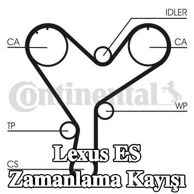 CONTITECH Triger Kayışı Diş Sayısı: 191 — 1995 Lexus Es