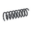 SACHS Helezon yay — 2002 Mercedes-Benz C-Class (2)