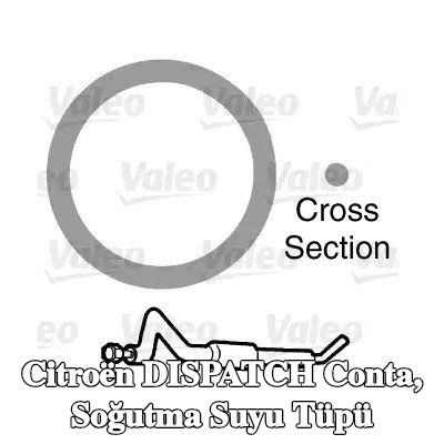 VALEO Conta, soğutma suyu tüpü — 2002 Citroën Dispatch