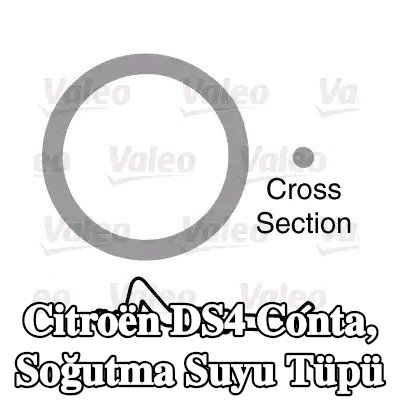 VALEO Conta, soğutma suyu tüpü — Citroën Ds4