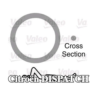 VALEO حشية مانعة للتسرب، أنبوب سائل التبريد — 2000 Citroën Dispatch