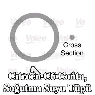 VALEO Conta, soğutma suyu tüpü — Citroën C6