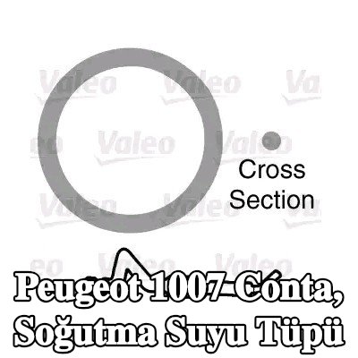 VALEO Conta, soğutma suyu tüpü — Peugeot 1007