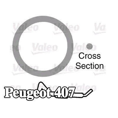 VALEO حشية مانعة للتسرب، أنبوب سائل التبريد — Peugeot 407