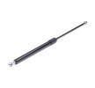 RIDEX Bagaj kapağı desteği 462mm — Chevrolet Lacetti (2)