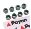 PAYEN Valf mil contası seti — Chevrolet Caprice Classic (1)