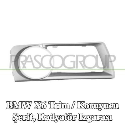PRASCO Trim / koruyucu şerit, radyatör ızgarası Sağ — BMW X6