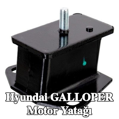 FEBI BILSTEIN Her İki Taraf Motor Yatağı — Hyundai Galloper