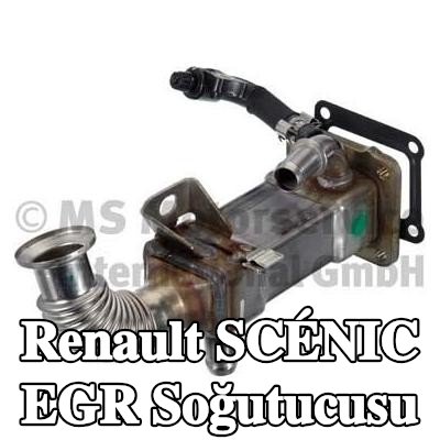 PIERBURG Contalı/sızdırmazlık elemanlı EGR soğutucu — 2003 Renault Scénic