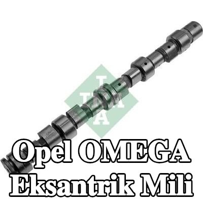 INA Eksantrik Mili — 1995 Opel Omega