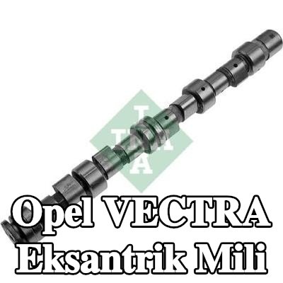 INA Eksantrik Mili — 1990 Opel Vectra