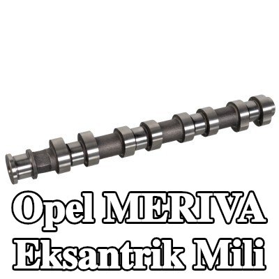FEBI BILSTEIN Egzoz tarafı eksantrik mili — 2004 Opel Meriva