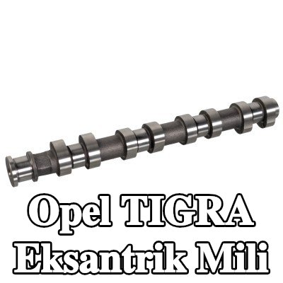 FEBI BILSTEIN Egzoz tarafı eksantrik mili — Opel Tigra