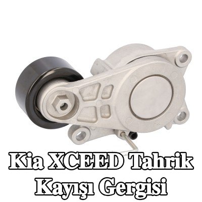 FEBI BILSTEIN Tahrik kayışı gergisi — Kia Xceed