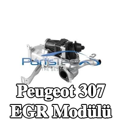 PartsTec Conta/sızdırmazlık elemanlı EGR Modülü, Kontrol Ünitesi/Yazılımı eğitilmeli/güncellenmelidir, vakum baypaslı, sensörsüz — 2001 Peugeot 307