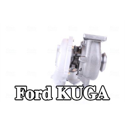 NISSENS مضخة التسريع، المكربن — Ford Kuga