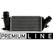 MAHLE Intercooler — Citroën C8 (1)