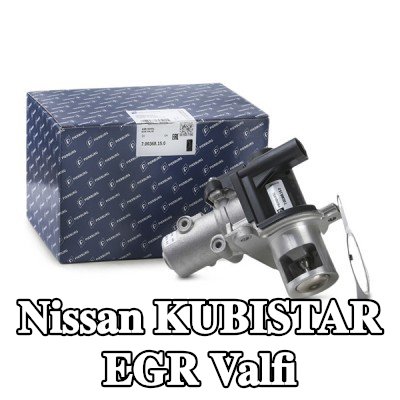 PIERBURG EGR valfi — 2003 Nissan Kubistar