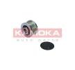 KAMOKA Alternatör debriyaj kasnağı — Volkswagen Fox (2)